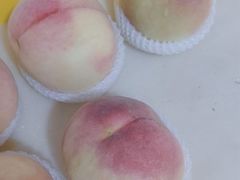 -老袁家蜜桃农场·阳山水蜜桃