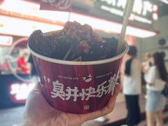 -黑色经典臭豆腐·湖南特产(坡子街店)