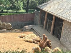 -石家庄市动物园