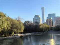 -团结湖公园