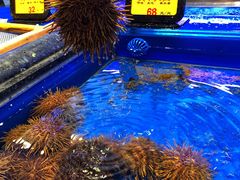 -万宝海鲜舫(劳动公园店)