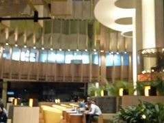 -新加坡雅庭假日酒店