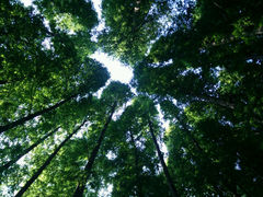 android_upload_pic-八大关景区