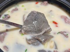 -洞庭家宴·头牌甲鱼(广渠门店)