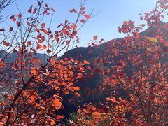 -周口店坡峰岭风景区