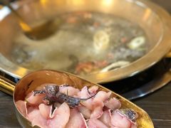 -土著渔匠·养生蝴蝶鱼(香樟路店)