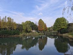 -尚贤河湿地