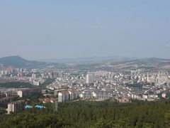 -原山国家森林公园