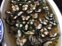清蒸太湖河鳗-呼吸森林·生态农庄农家乐私房菜