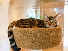 -Me Coffee下午茶艺术空间