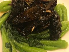 -林之六八·6886大连老菜馆