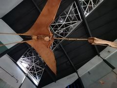 -湖南省地质博物馆