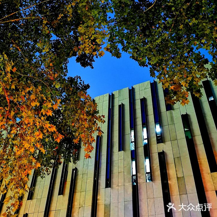 金陵漫游||美术馆.幽蓝的夜