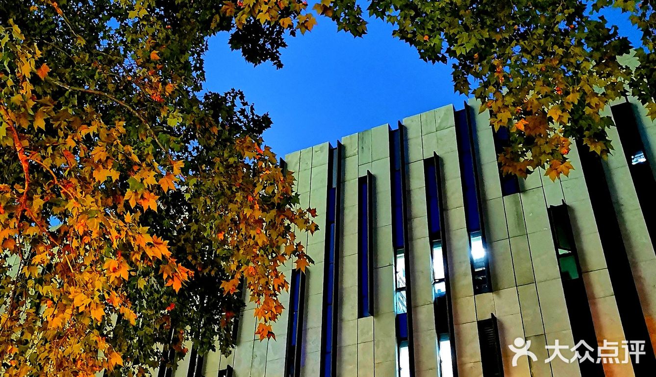 金陵漫游||美术馆.幽蓝的夜