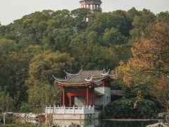 -顺峰山公园