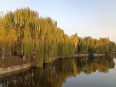 -南翠屏公园