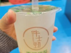 -德禄酸奶(莫家街店)