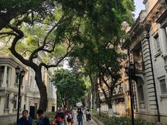 -广州白天鹅宾馆