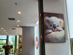 -了不起的考拉咖啡店(高新店)
