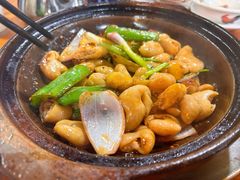 -石岐乳鸽村(桥观坊南四巷店)