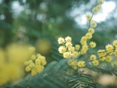 -白鹭湾湿地公园