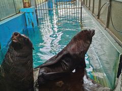 -成都浩海立方海洋公园