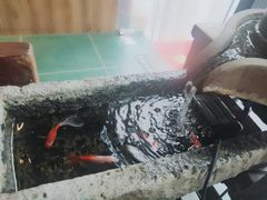 -兵哥豌豆面(雅颂居店)