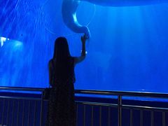 -多彩贵州城极地海洋世界