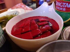 不得不吃鲜鸭血-大龙燚火锅(南山大道店)