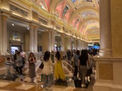 -澳门威尼斯人综合度假区