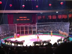 -西安秦岭野生动物园