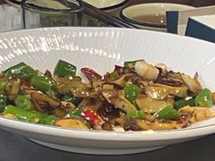 -七采菌园·野生菌石锅鱼(环城北路店)