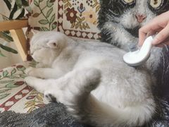 -平行世界·猫咖(首经贸店)