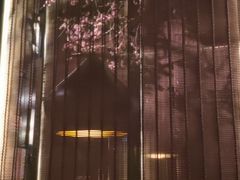 -老板恋上鱼(印象城店)