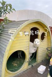 -小蜜蜂农场(凯德七宝购物广场店)