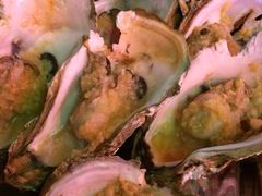 明记生蚝-湛江明记(湛江鸡湛江生蚝)