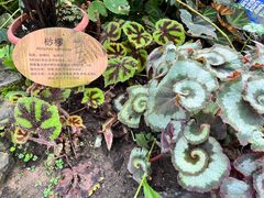 -国家植物园南园