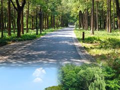 -西溪国家湿地公园