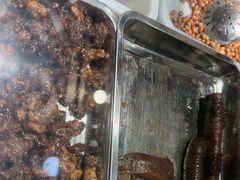 -乔波食品(杜桥中心菜场店)