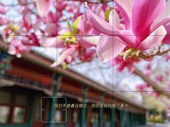 -国家图书馆·古籍馆