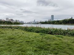 -南宁南湖公园
