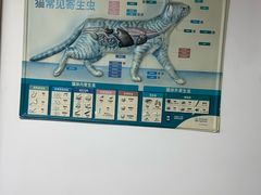 -宠颐生宠物医院外科·内科·皮肤科·影像科(石龙店)