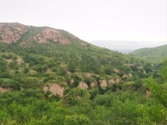 -红山国家森林公园