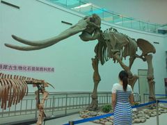 -陕西自然博物馆