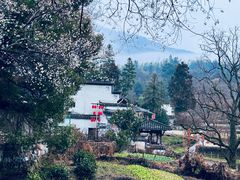 -塔川景区