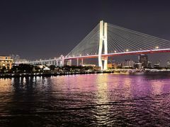 -新龙船黄浦江餐饮游船官方自营店
