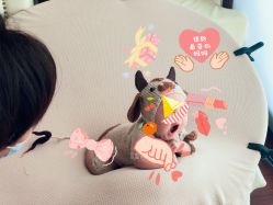 -舒雅母婴护理中心(天虹中心)