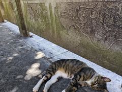 -宝通禅寺