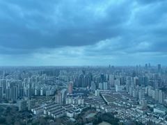 -上海龙之梦万丽酒店