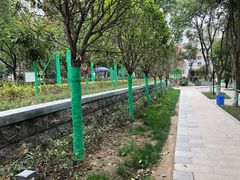 -莲湖公园
